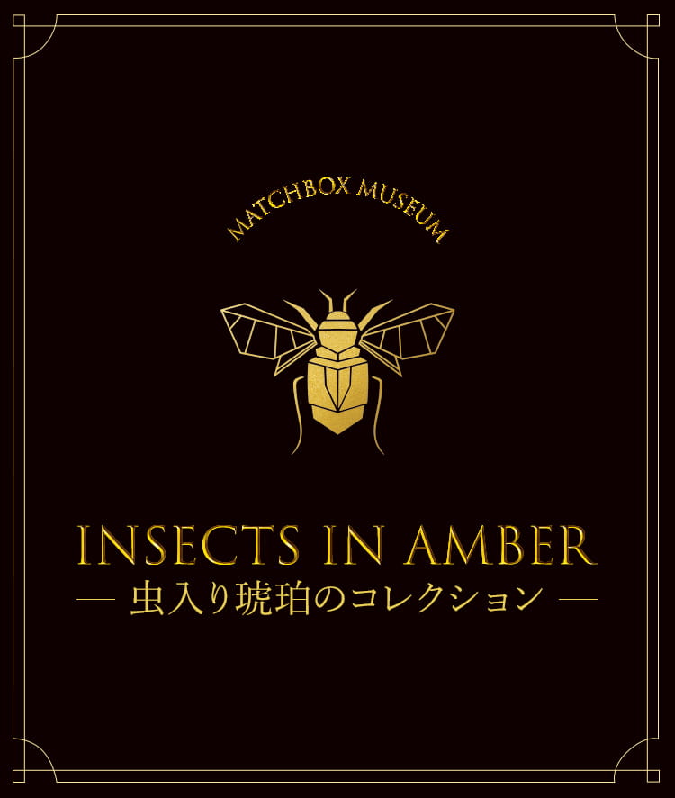INSECTS IN AMBER|虫入り琥珀のコレクション