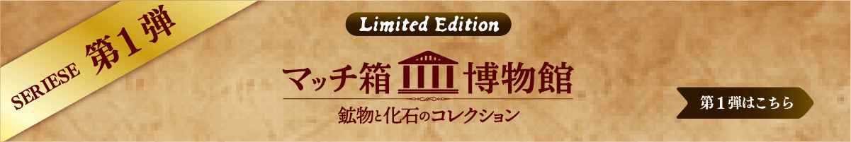 第1弾はこちら